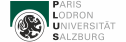 PLUS Logo